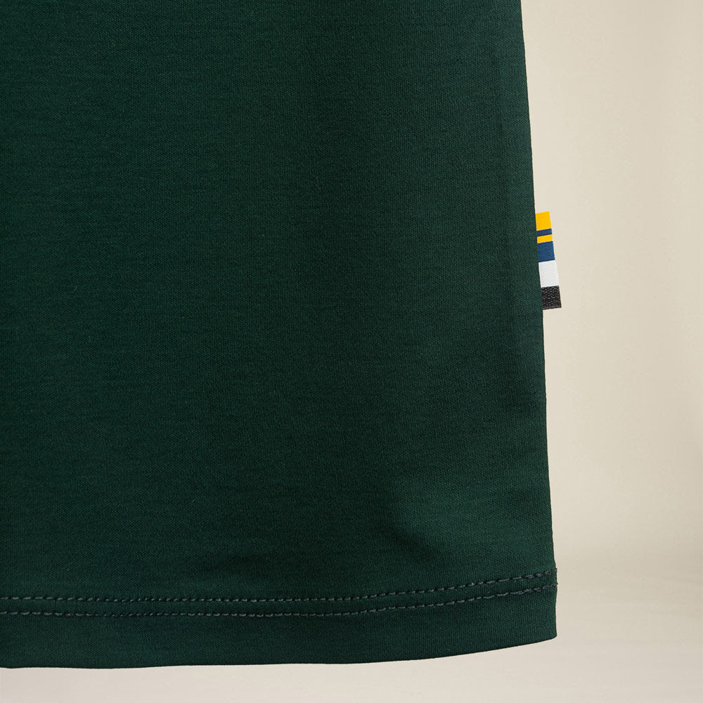 #color_dark green
