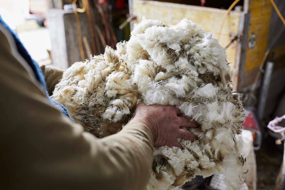 Wie nachhaltig ist eigentlich Wolle?