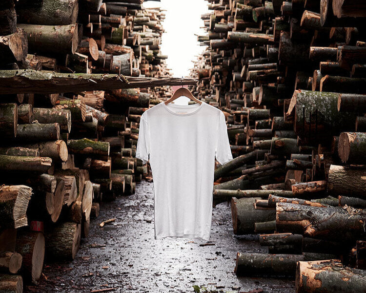 Was ist das nachhaltigste T-Shirt? (Teil 1)