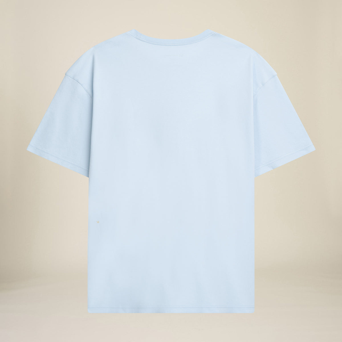 MANGOLA-T-Shirt-Relaxed_light-blue_back #color_light blue